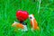 Miniature motorcycle carrying a red heart cushion on the grass