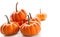 Miniature orange pumpkins against white