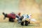 Miniature people : businesses team waiting for airplane travel around the world, business trip travel advisory agency or online wo