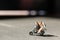 Miniature people : Couple in love riding a motorbike