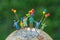 miniature people figure back view of happy family holding balloons standing on globe as world climate change environment or happy