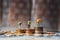Miniature people, group of travelers standing on stack coins using as business competition and financial concept