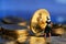 Miniature people : maid cleaning a stack of coins with Finance