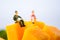 Miniature people: A man and a woman sit aside but on a different mango rock, and look into the distance and lost in thought