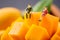 Miniature people: A man and a woman sit aside but on a different mango rock, and look into the distance and lost in thought