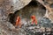 Miniature people: Men in uniform are using shovels to drill stones. Image use for drilling business