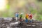 Miniature people : traveler walking on the roads are cluttered with grass. Used to travel to destinations on travel business