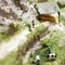 Miniature people: two woman standing on a mountain path and talking near grazing cows. Macro photo, shallow DOF.