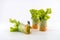 Miniature people worker digging into the salad of fresh vegetables rolls