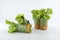 Miniature people worker digging into the salad of fresh vegetables rolls