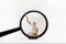 Miniature people: Worker are wiping the glass of a magnifying glass. Image use for background business concept