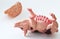 Miniature Pig with a slice of saussage