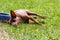 Miniature pinscher resting next to feeding bown on a hot summer day