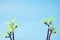 Miniature plastic palm tree or coconut tree on blue color background, Summer concept with copy space