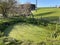 A miniature pond on a Swiss alpine spring pasture, Schwarzenberg LU - Canton of Lucerne, Switzerland / Kanton Luzern, Schweiz