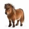 Miniature Pony On White Background - Authenticity In Bjarke Ingels Style