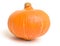 Miniature Pumpkin