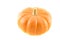 Miniature Pumpkin 6