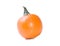 Miniature pumpkin on white background