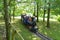 Miniature railway train entering wooded area