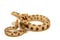 Miniature of a rattlesnake