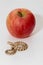 Miniature of a rattlesnake with a red apple