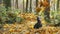 Miniature Schnauzer Dog Or Zwergschnauzer Funny Jumping In Dry Yellow Fallen Foliage Outdoor In Autumn Day. slow mo