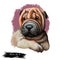 Miniature shar pei dog, puppy of Chinese origin digital art