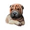 Miniature shar pei dog, puppy of Chinese origin digital art