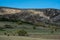 Miniature shepherd cattle cows autumn shades sunrays rocky hillside typical rural scene green blue lifestyle