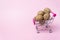 Miniature supermarket trolley with walnut on a pink background.. hopping, purchases, supermarket, sale, mall concept. Grocery