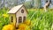 miniature toy house in grass, dandelion flowers, spring natural background. symbol of family. mortgage, construction