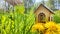 miniature toy house in grass, dandelion flowers, spring natural background. symbol of family. mortgage, construction