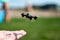 Miniature toy remote controlled drone taking off from a hand