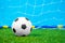 Miniature toy soccer ball lies on green grass of artificial turf of football field against the backdrop of a grid of