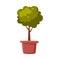 Miniature Tree in Flowerpot, Green Potted Plant Flat Style Vector Illustration on White Background