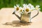 Miniature watering can with daisies on wooden table outdoors in garden