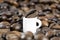 Miniature white coffee cup with a huge coffee bean surrounded by scattered roasted beans