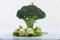 Miniature woman on a broccoli plant