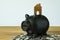 Miniature wooden house on top of black piggy bank standing on co