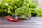 Miniature worker planting a broccoli tree