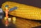 Minifigures cuts corn grains 2