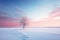 Minimal Beautiful winter landscape with lonely tree on the frozen landscape at sunset