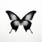 Minimal Black Butterfly On White Background