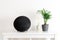 Minimal composition, home interior - portable speaker, scent aroma diffuser, evergreen plant, white shelf