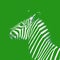 Minimal contemporary art white outline zebra on green backgrund