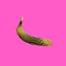 Minimal contemporary style banana with texture on pink background