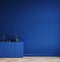 Minimal decorated dark deep blue room with chest of drawers and vase with branch