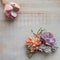 Minimal flatlay composition with succulent flowers on vintage wooden board background