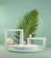 Minimal Modern Form Display Geometry With Palm Leaf On Green Mint Abstract Background 3d Render